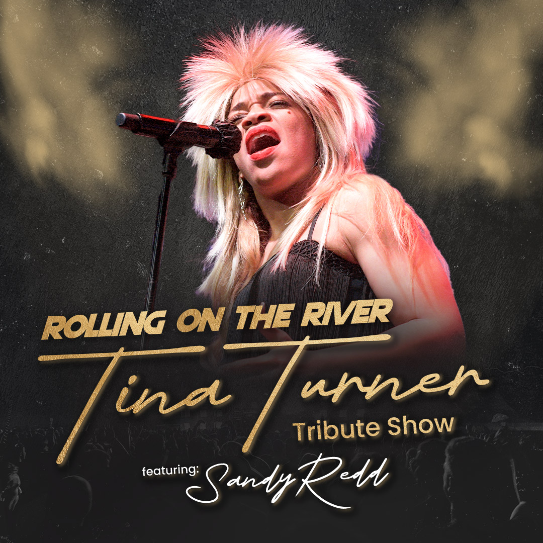 Tina Turner Tribute Show