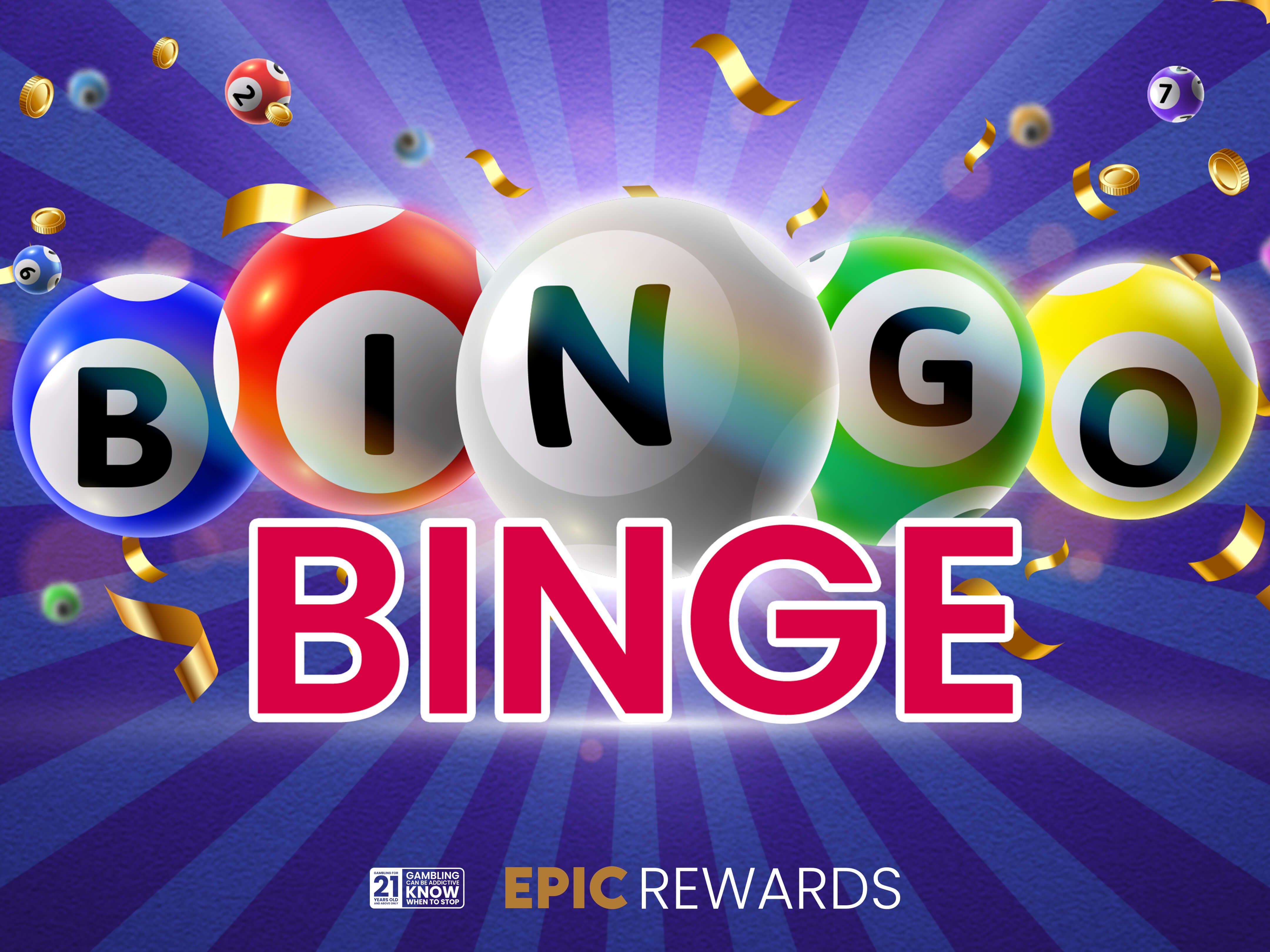 Bingo Binge
