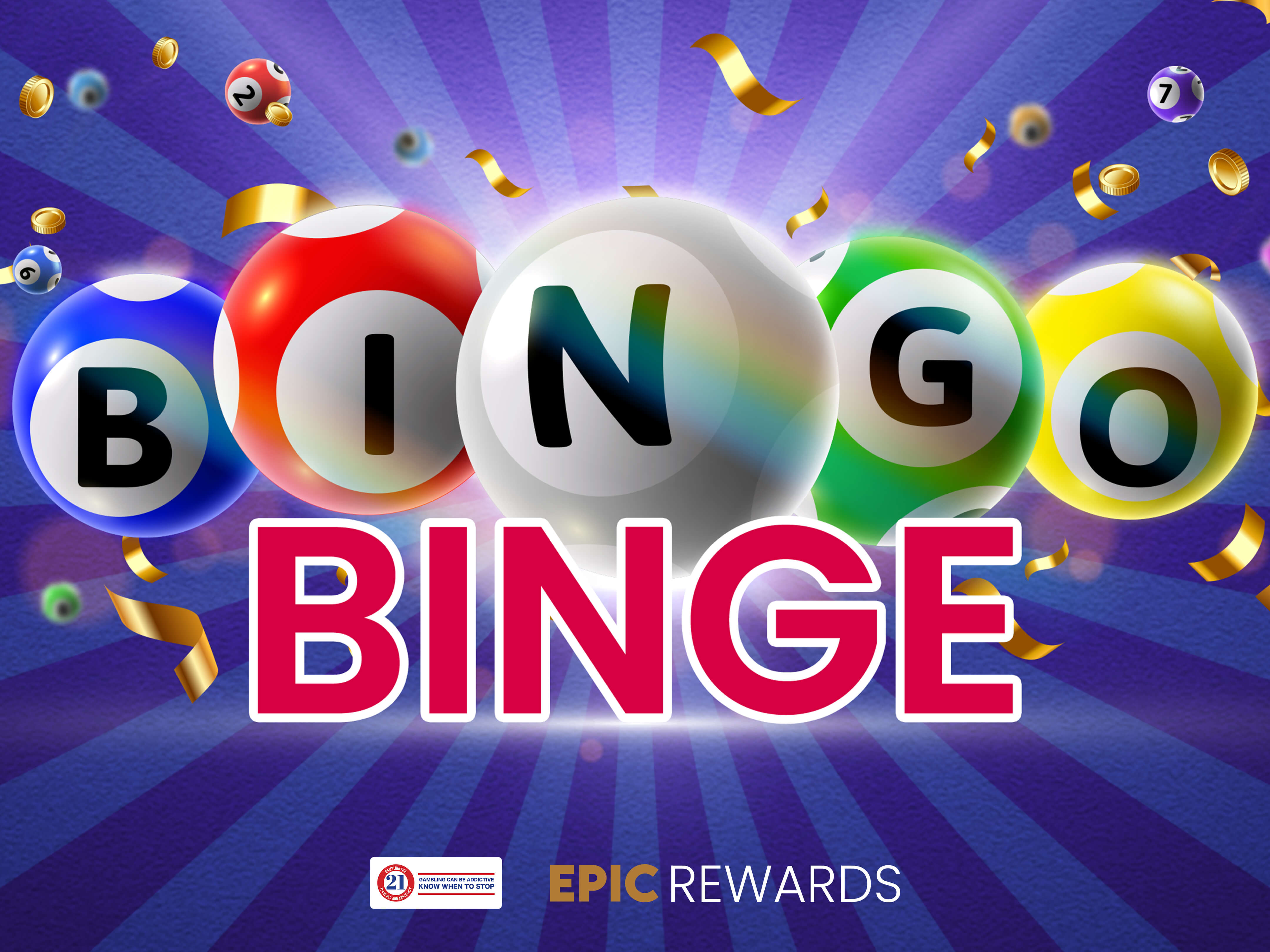 Bingo Binge