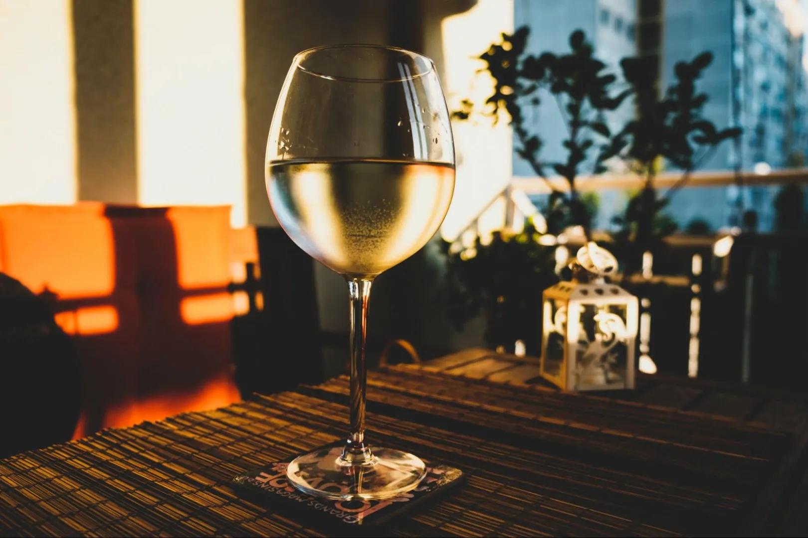 Understanding the Different Types of Wines